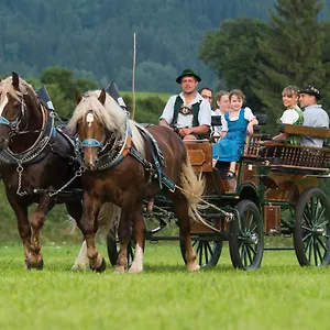 bauernhof-kotz.com-bavaria.com/